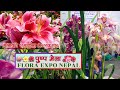 Flora Expo | Flower Decoration | Pushpa Mela | Indoor Outdoor Flower| Flower Tips
