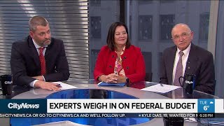 Experts weigh in on 2019 federal budget