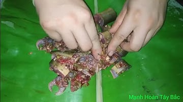 Lươn Nướng , Lươn 400g cuốn lá chuối nướng cực ngon , Ẩm thực Tây Bắc.