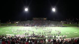Travis Tiger Band 9816