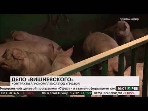 СГЦ Вишневский