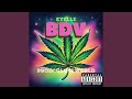BDV BDV