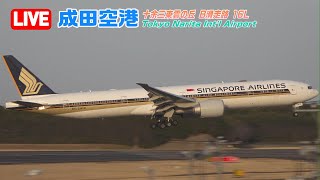 【LIVE】2024/04/28 Tokyo NARITA Int'l Airport Plane Spotting 成田空港