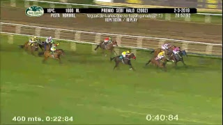Jockey Club hipódromo en vivo
