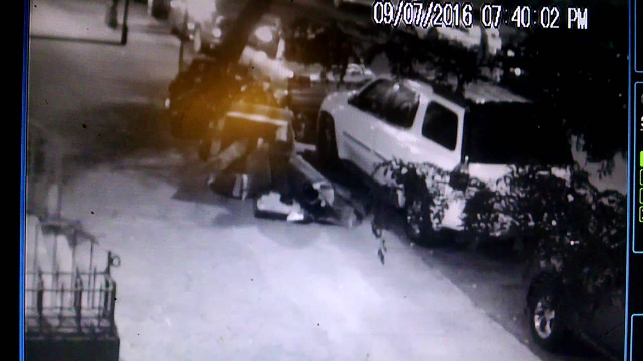 shooting in dc Man Shot in the Head Near Prospect Park, Police Say