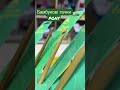 Гачок для в’язання бамбуковий PONY | Купити в інтернет магазині petelka.com.ua