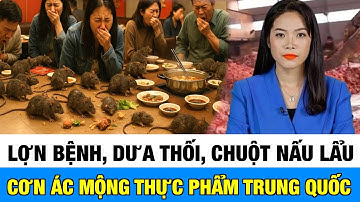 Lợn Bệnh, Dưa Thối, Chuột Nấu Lẩu – Cơn Ác Mộng Thực Phẩm Độc Hại Trung Quốc