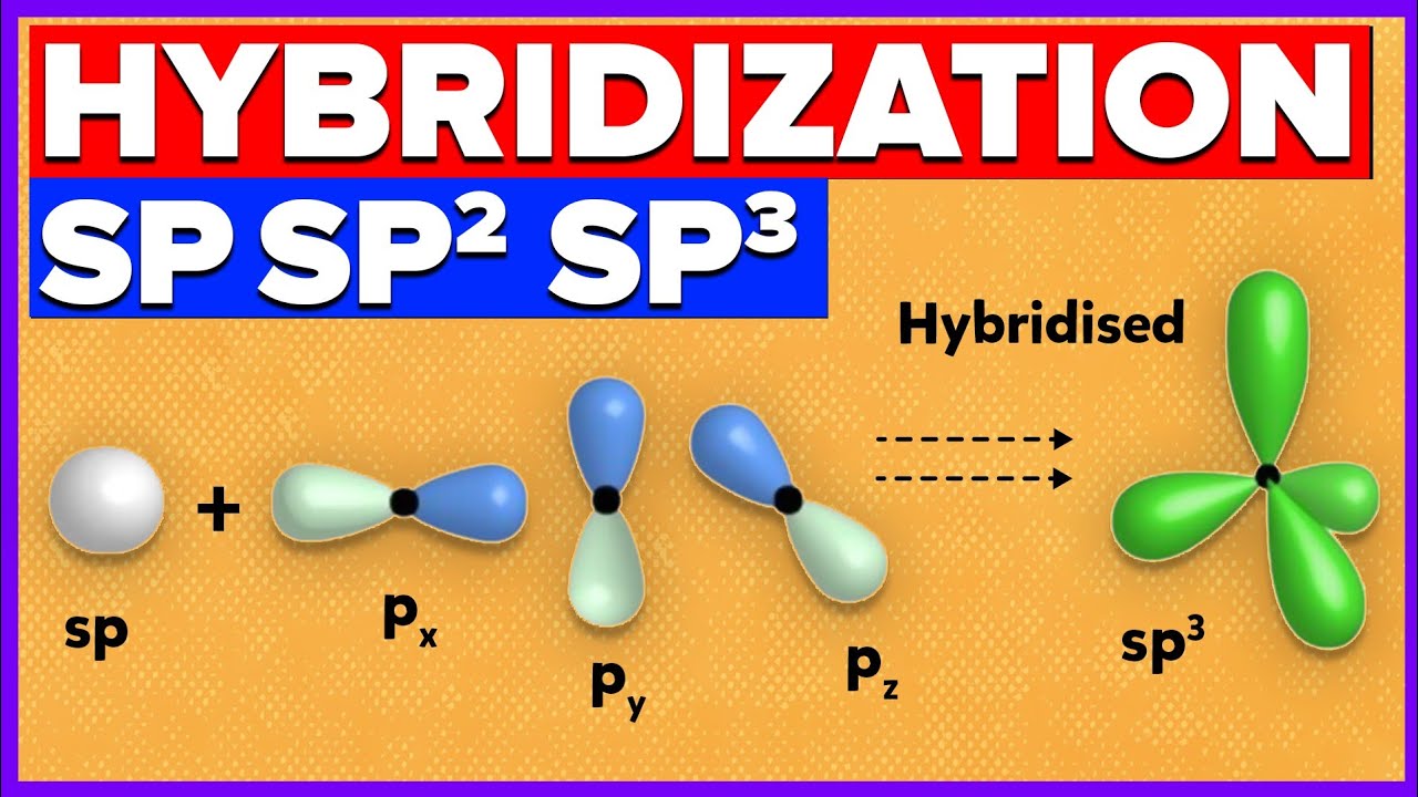 Sp Hybridization Carbon