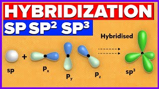 Hybridization of Atomic Orbitals | SP, SP2, SP3 Hybridization of Carbon