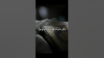 ولئن صبرتم لهو خير للصابرين للقارئ ماهر المعيقلي #قرآن #قران_كريم #راحة_نفسية #quran #viralvideo