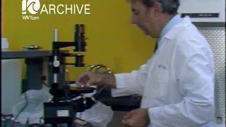 WAVY Archive: 1979 Test Tube Babies - Special Report