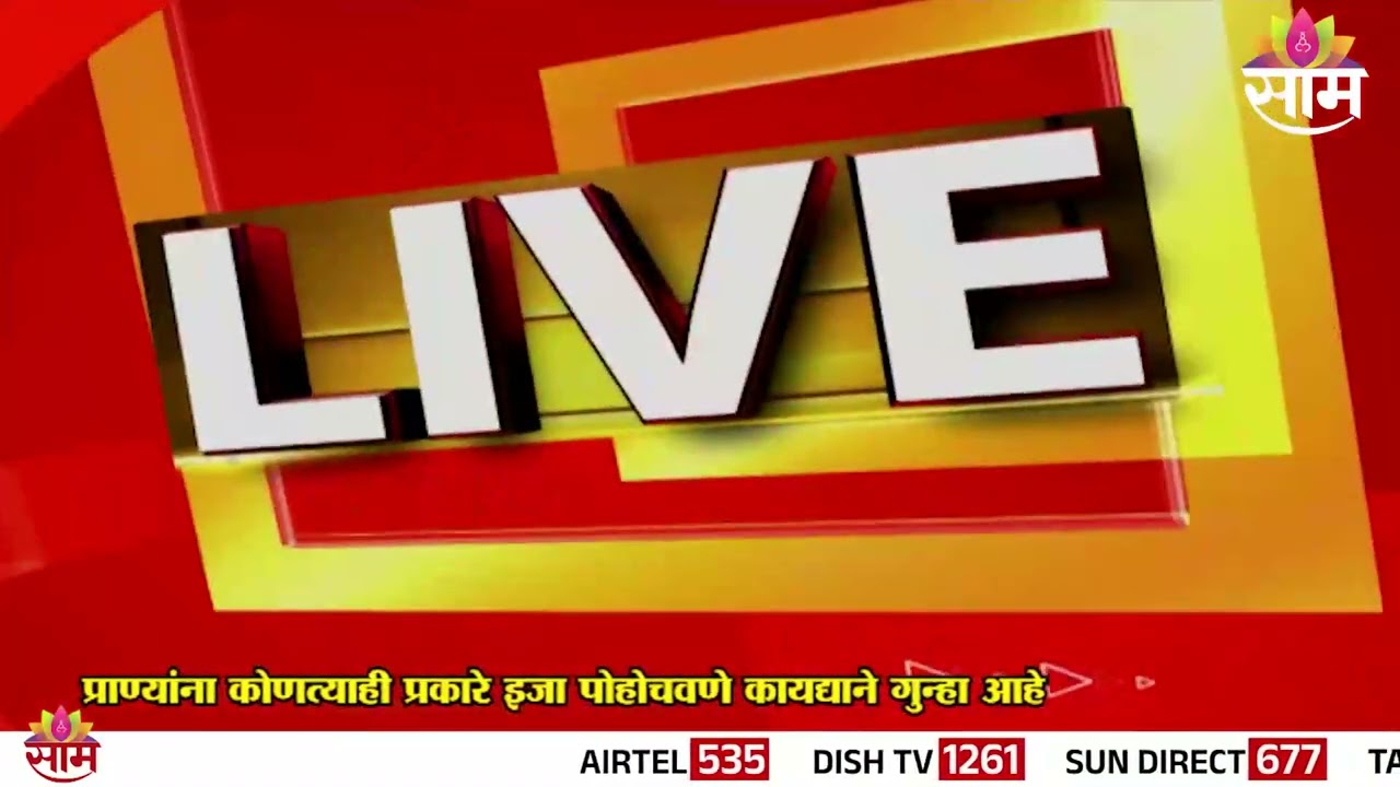 अहिल्यानगरमध्ये बिबट्यांची दहशत; मजुरांच्या सुरक्षेसाठी शेतकऱ्याचा बंदुकीसह पहारा | Leopard News