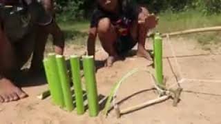 Primitive_Technology__Easy_Snake_Trap_Using_Tr.mp4