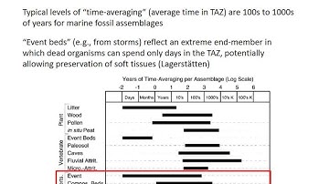 Taphonomy (time averaging)