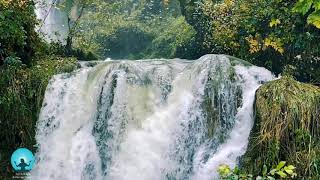 Relaxing meditation music | flowing spring sounds & Heavenly flute music Ambience - Relaxing Music