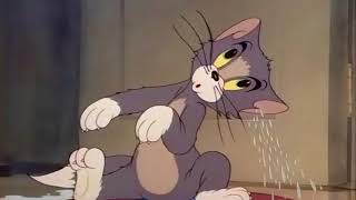 Tom And Jerry Fraidy Cat P-23 - -Toonistan
