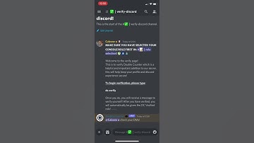 How To Verify Using Double Counter On Discord