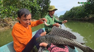Thả 3 Tay Lưới Thu Phục Được Một Thau Cá_Lau Kiếng Làm Món Này Ăn No Trừ Cơm Luôn....| ONMT #Tập 144
