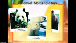 Biology One - Introduction to Classification