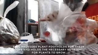 Full 7-JOSIAH TLE; HOW TO PLANT A MUNGGO SEED. Guide