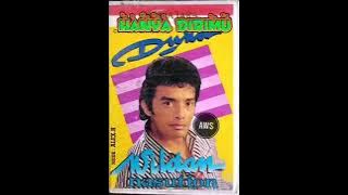 Hanya Dirimu (Wildan Nasution)