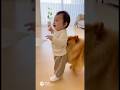 Heart-touching 🥹 Dog Supports a Baby’s First Steps 🐾（初めて歩く赤ちゃんを支える優しいわんちゃん🐶）