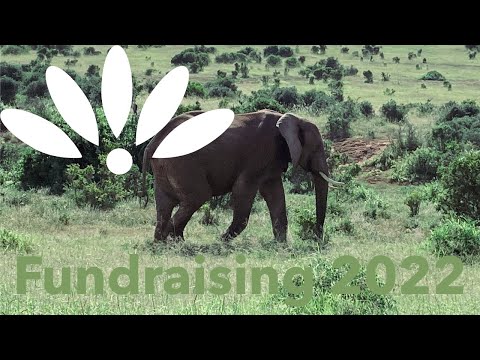 South Africa Fundraising 2022