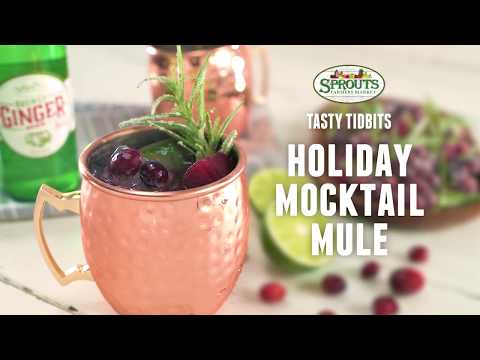 tasty-tidbits:-holiday-mocktail-mule