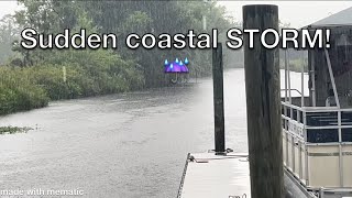 SUDDEN COASTAL STORM and LOST TURKEY FOOTAGE!! dampens birdwatching | South Carolina Rain