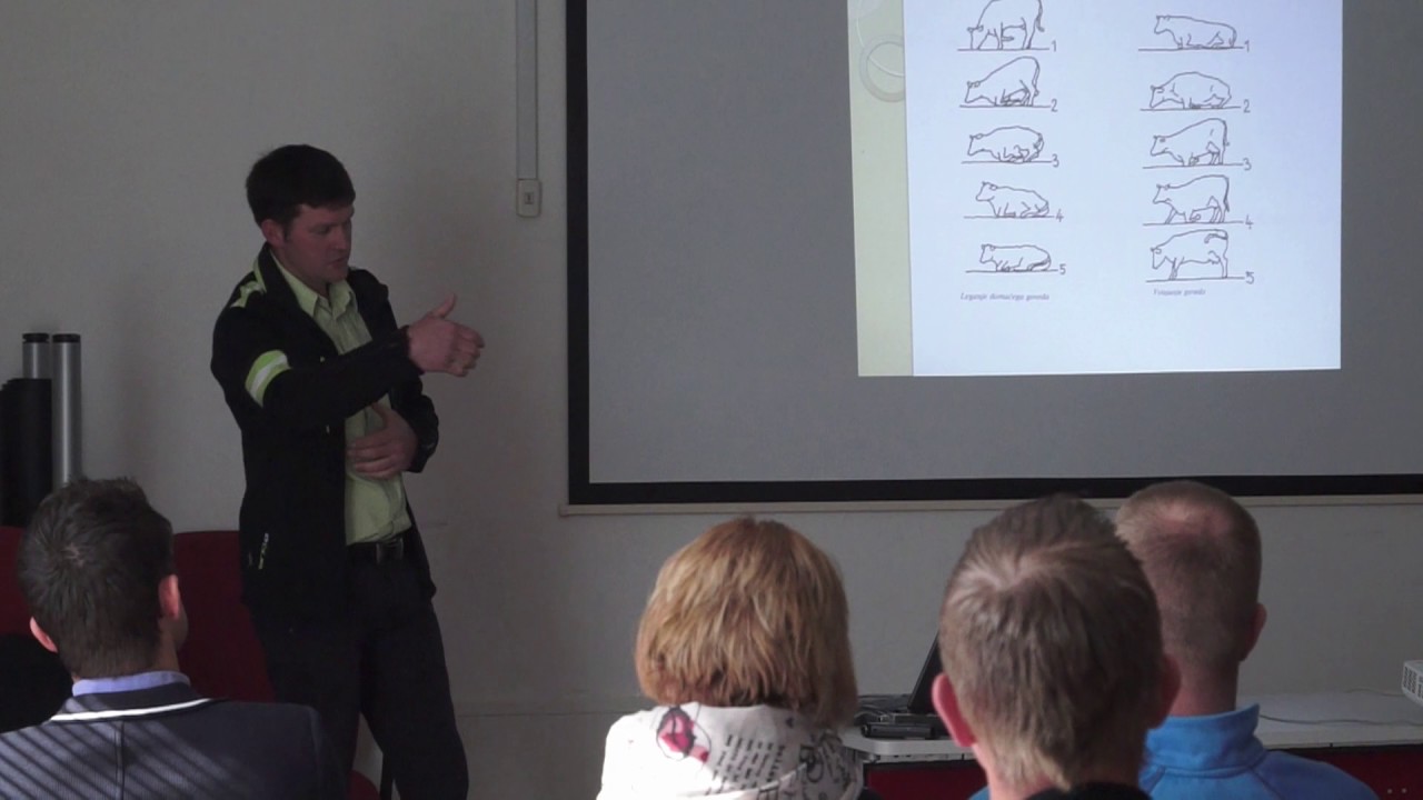 Sejem Komenda - pomlad 2017 / Preureditev hleva v skladu s potrebami na kmetiji