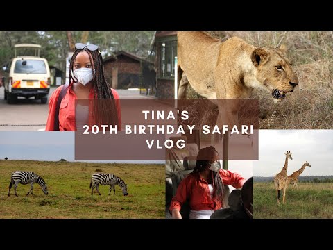 TINA'S SAFARI BIRTHDAY VLOG| IVSISTERS