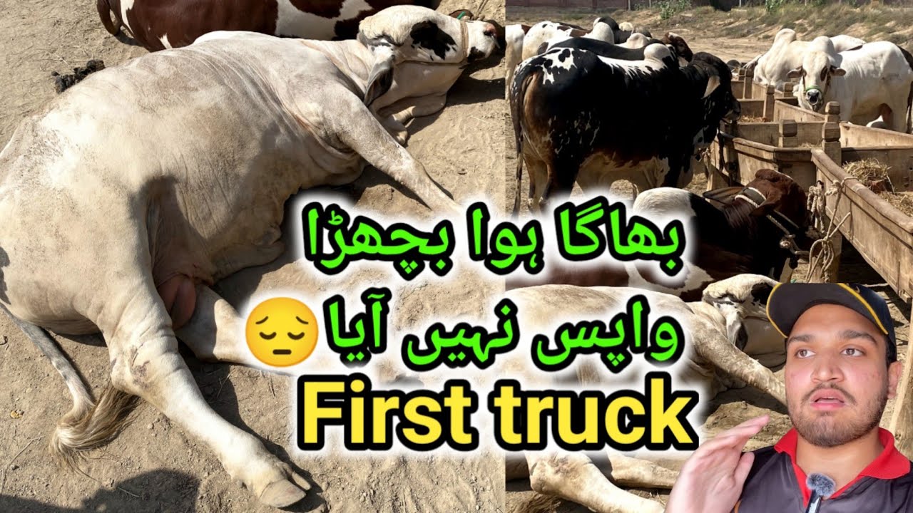 Nuqsan hogaya first truck ma😔| Bhaga hoa bachra wapis nahi aya😱