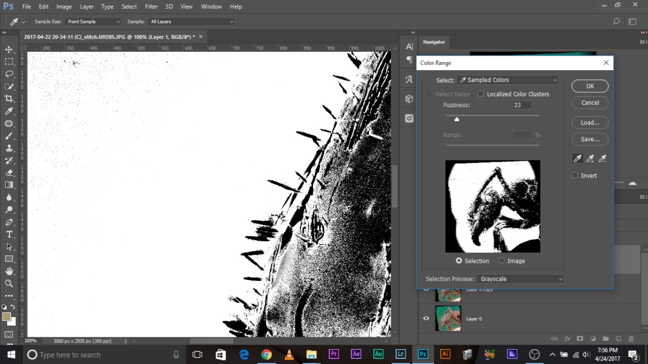 Askpix Removing Haze Or Halo Around Insect Hair Feat Denis Hogan Youtube Halo Insects Hair