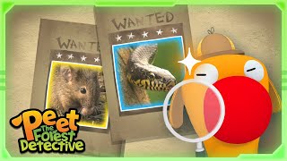 Lizard Tails Everywhere!? 🦎🔍| Full Episode | Cartoons for Kids | Peet The Forest Detective