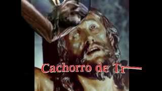 Video thumbnail of "PASCUAL GONZALEZ CANTA AL CACHORRO DE SEVILLA"