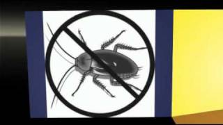 Five-Star Outdoor Pest Control Services - 914-288-6211