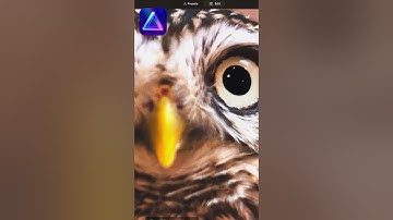 Remove Noise In Your Photos With Luminar Neo Noiseless AI #photoediting #skylum #tutorial