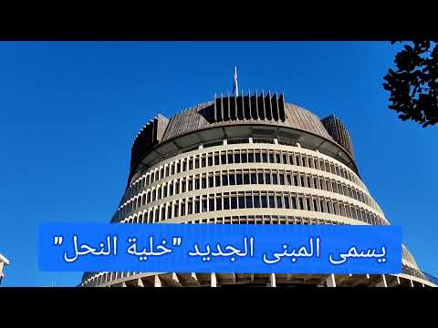 رحلة إلى ويلينغتون فلوق من نيوزيلندا
