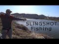 Крупный сазан. Городская охота с рогаткой. Slingshot Fishing