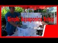 Aquaponics setup for beginners bell siphon installation and tips