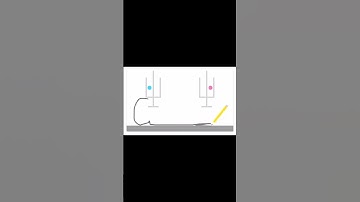 Brain Dots | Level 160 walkthrough #braindots #short #mobilegame #walkthrough