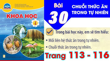 Khoa học lớp 4 chân trời sáng tạo bài 30 - Chuỗi thức ăn trong tự nhiên