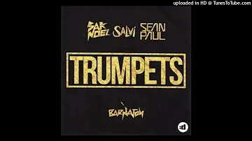 Sak Noel & Salvi ft Sean Paul - Trumpets (Official Album Instrumental) [HD]