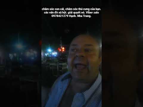Video dog die. many social issues.Con chó chết. nhiều vấn đề... - youtube