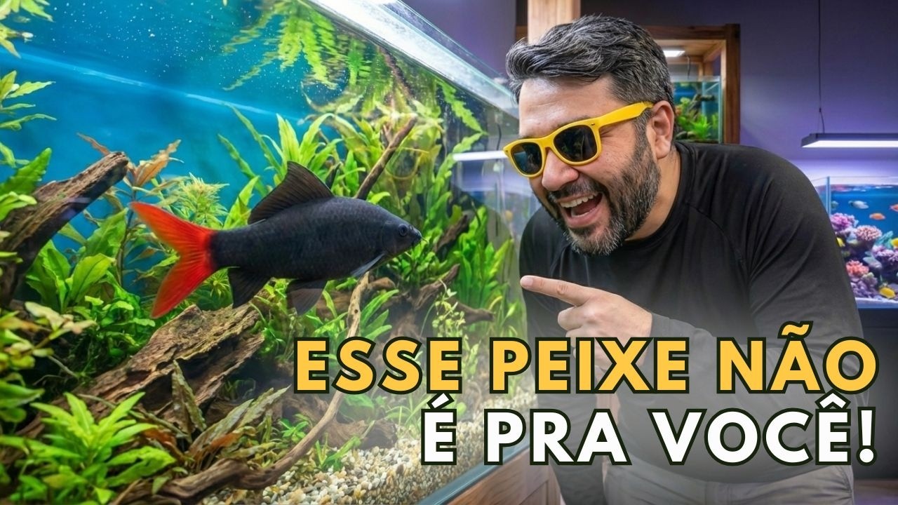 5 Segredos para Escolher o Peixe PERFEITO!
