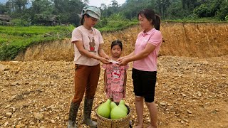 Harvesting Gourd Garden Going to the market to sell - Farm - Gardening | Nguyen Thi Luyen