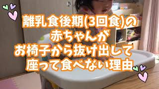 離乳食後期(３回食)の赤ちゃんがお椅子から抜け出して座って食べない理由