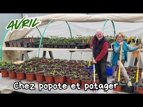 QUE PLANTER ET SEMER AU POTAGER EN AVRIL 2026 ?
