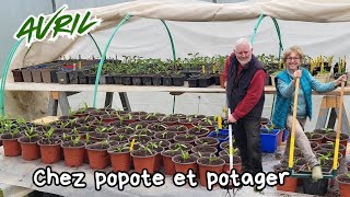 Que Planter Et Semer Au Potager En Avril 2026 ?