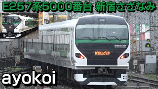 緑のE257系 波動用5000番台 OM-91編成 特急新宿さざなみ